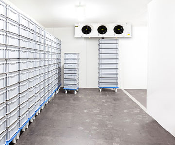 About the Refrigeration Chamber or Cold Room